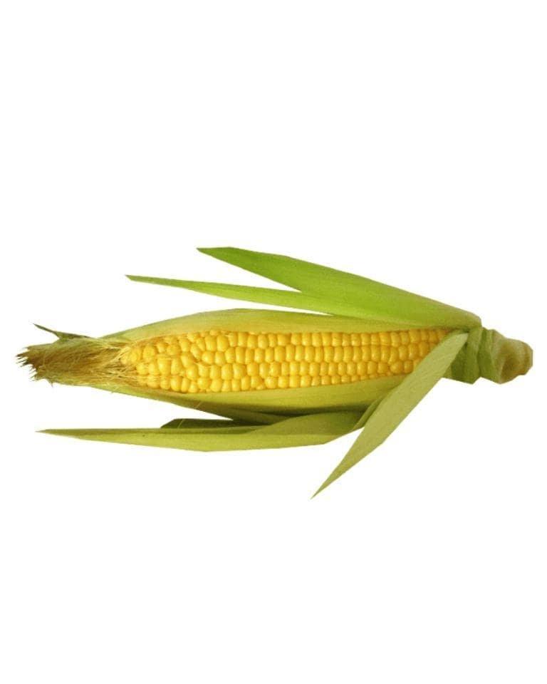 Bhutta/Corn