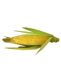 Bhutta/Corn