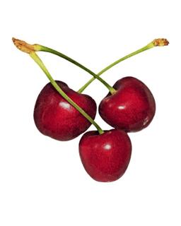 Cherries Imported