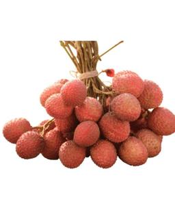 Litchi