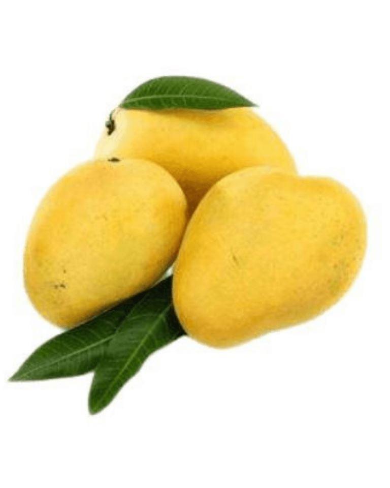 Mango- Safeda