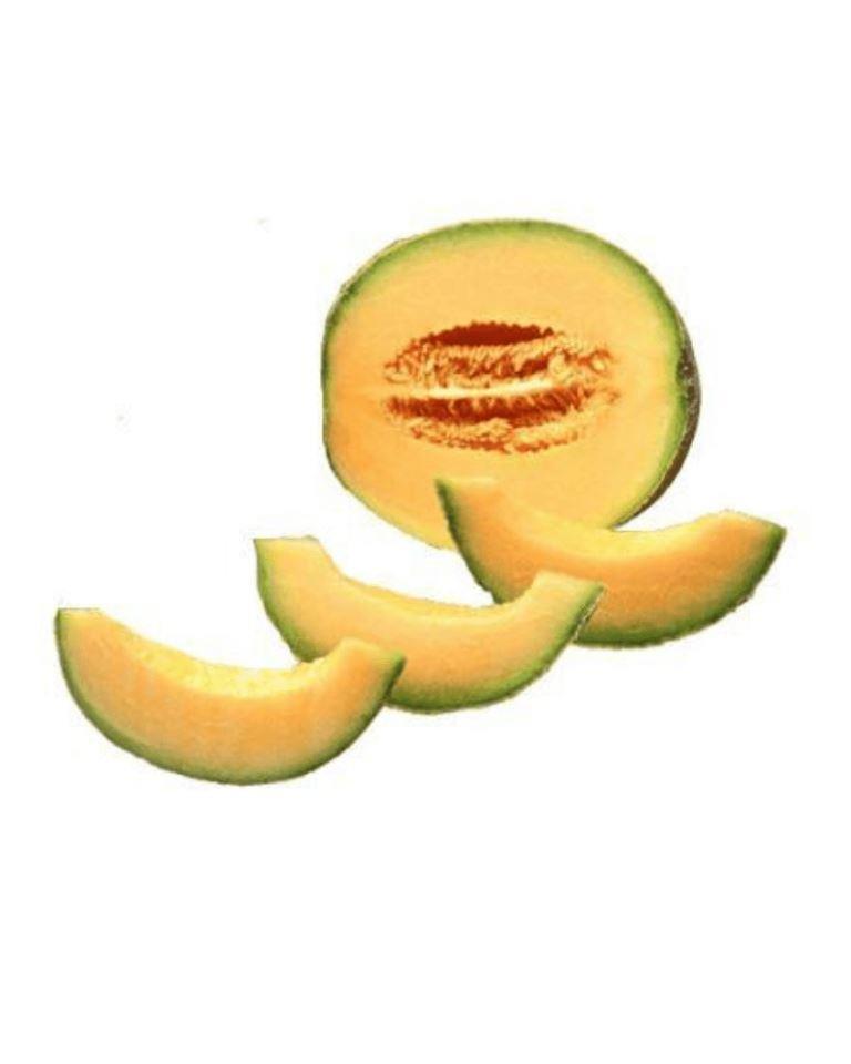 MuskMelon
