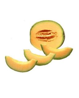 MuskMelon