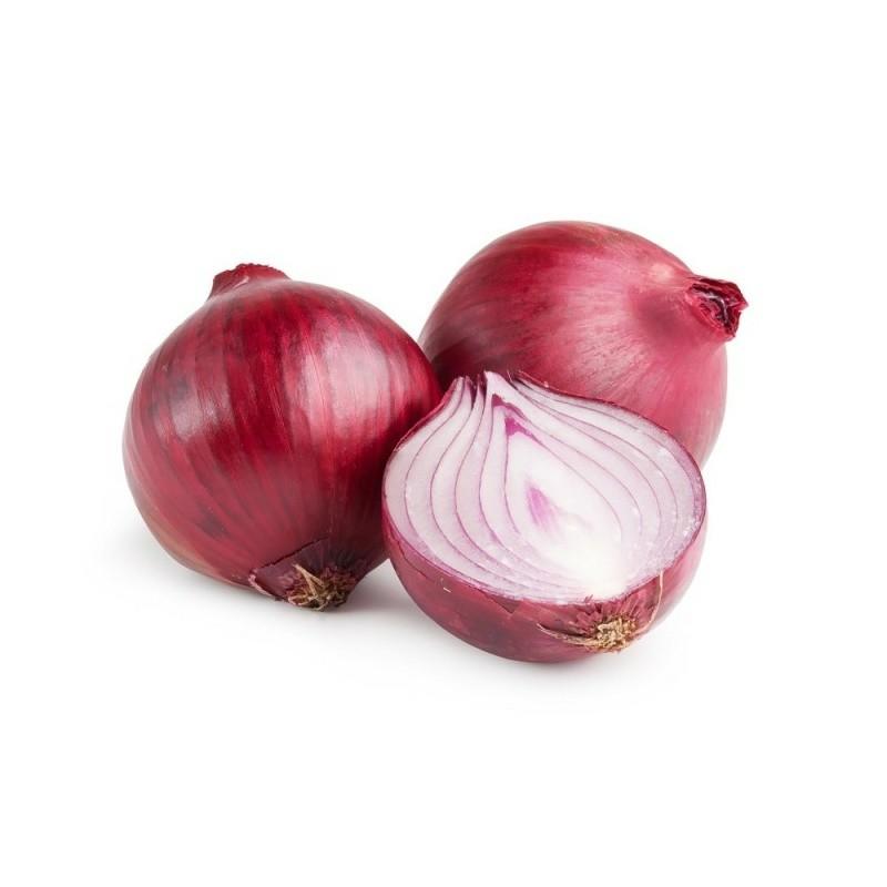 Onion