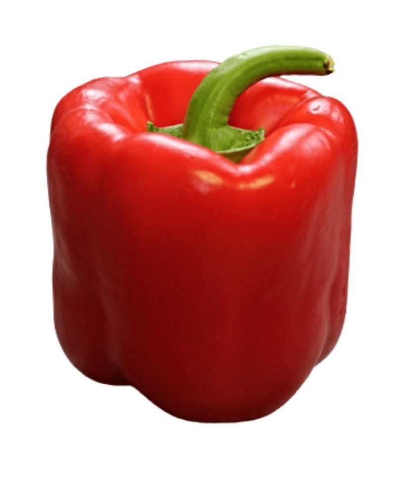 Red Capsicum
