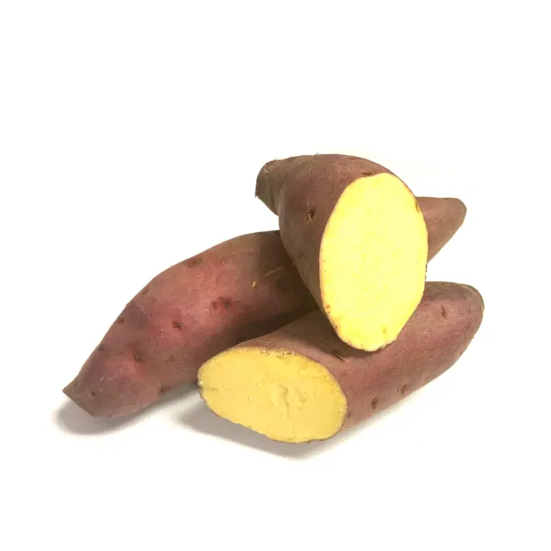 Sweet Potato