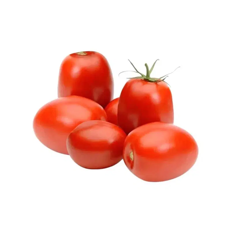 Tomato Hybrid