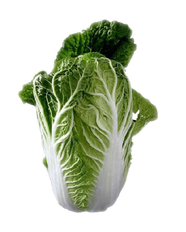 Chinese Cabbage