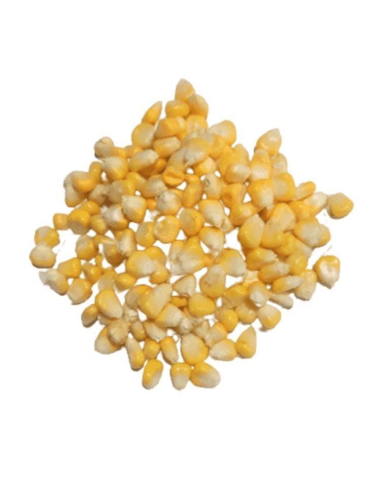 Corn Kernels