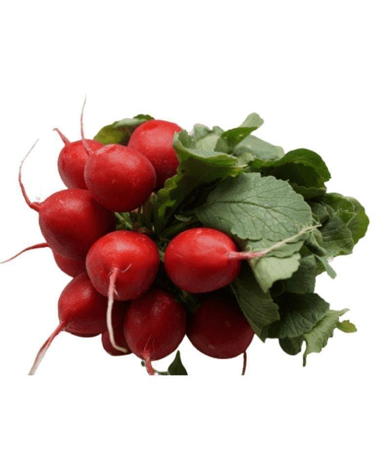 Red Radish / Lal Mooli