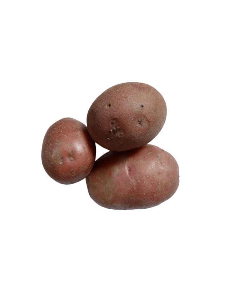 Red Potato
