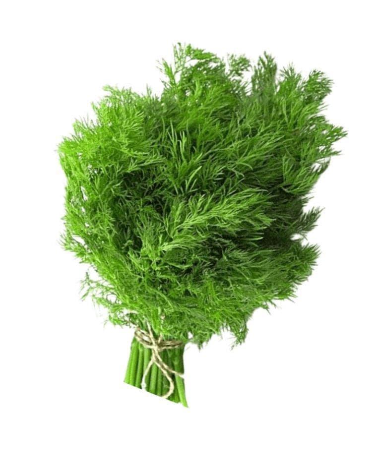 Sova Leaves / Dill Leaves