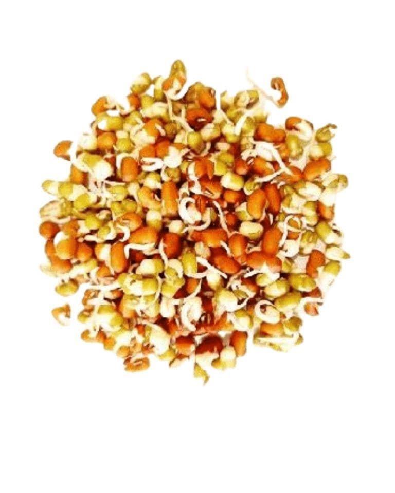 Sprouts Mix Variety