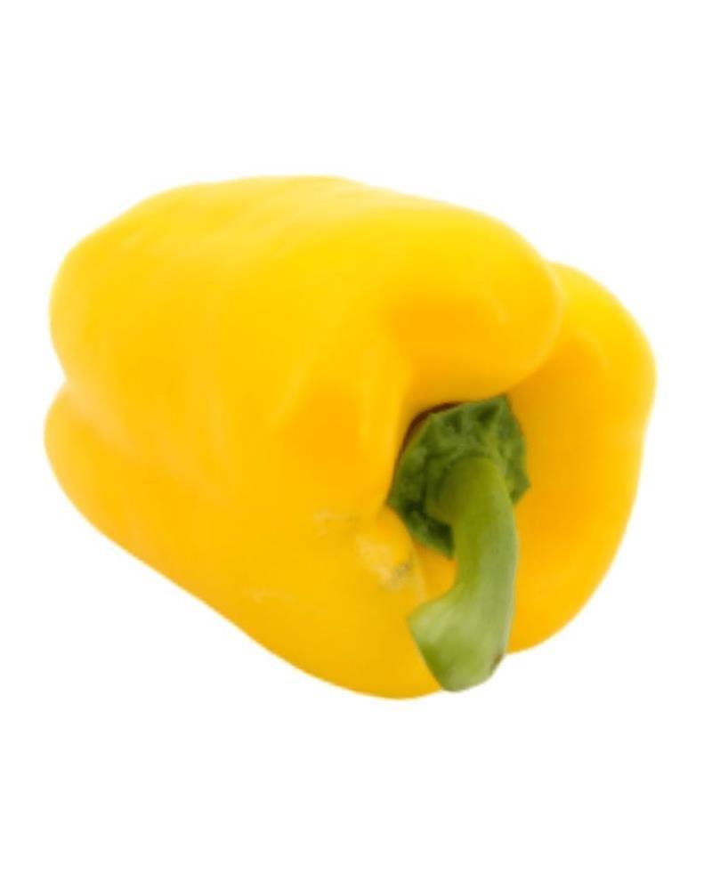 Yellow Capsicum