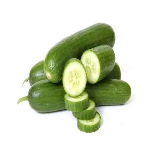 English Cucumber (Seedless Kheera)