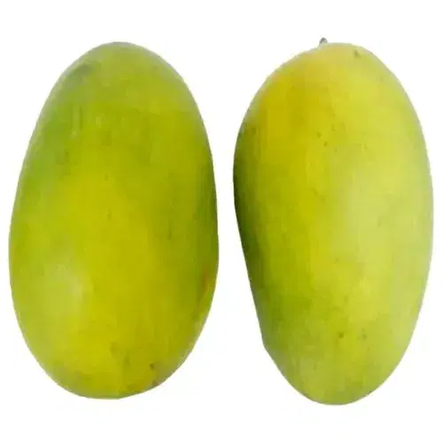Mango - Langra