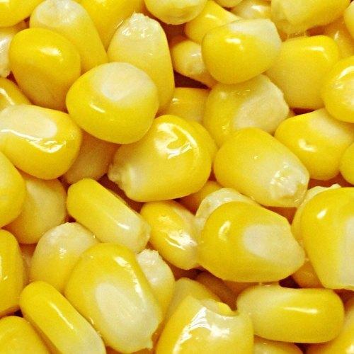 Sweet Corn