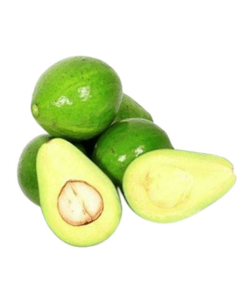Avocado Indian