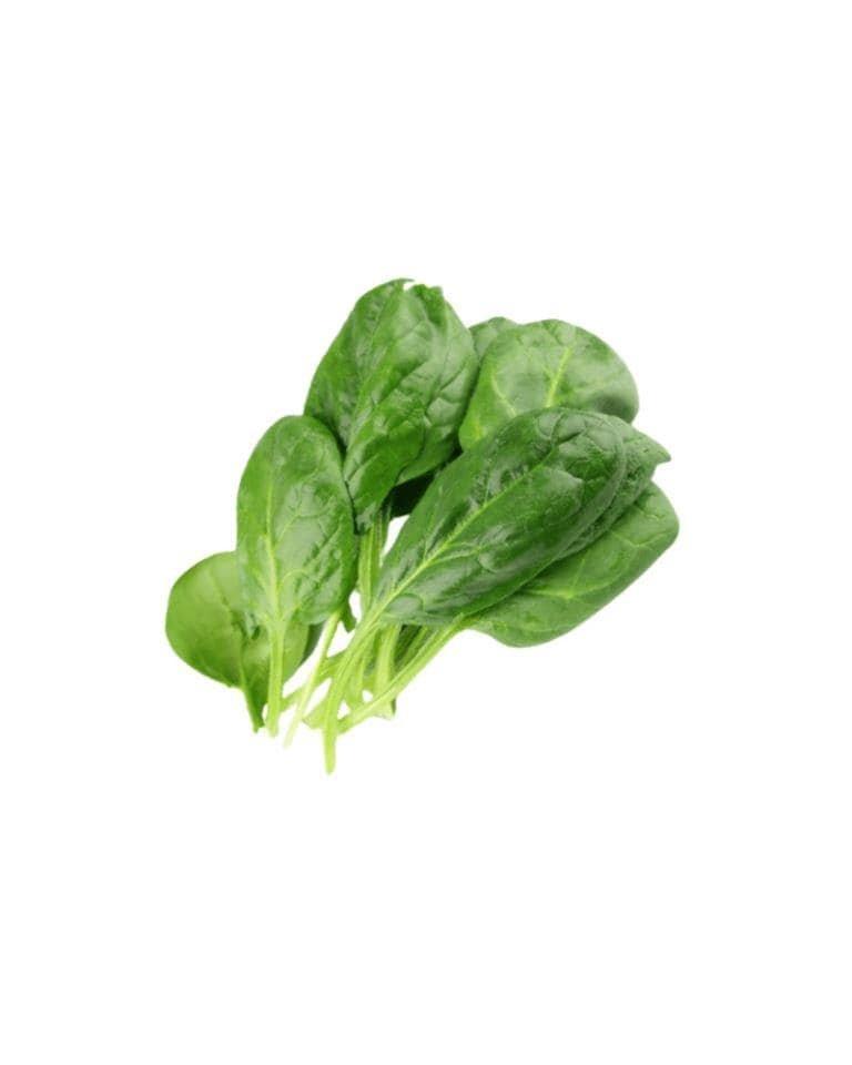 Baby Spinach / Palak