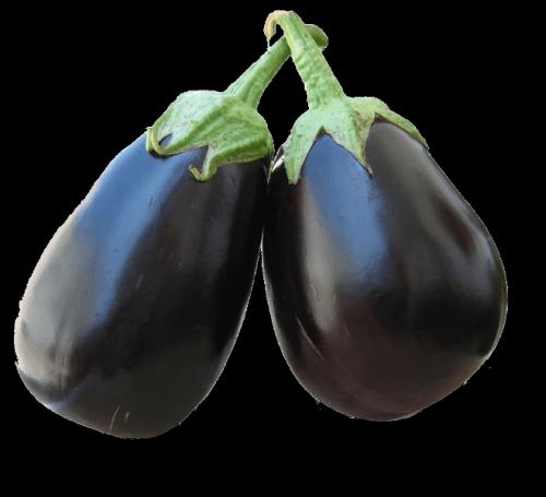 Brinjal Round Bharta