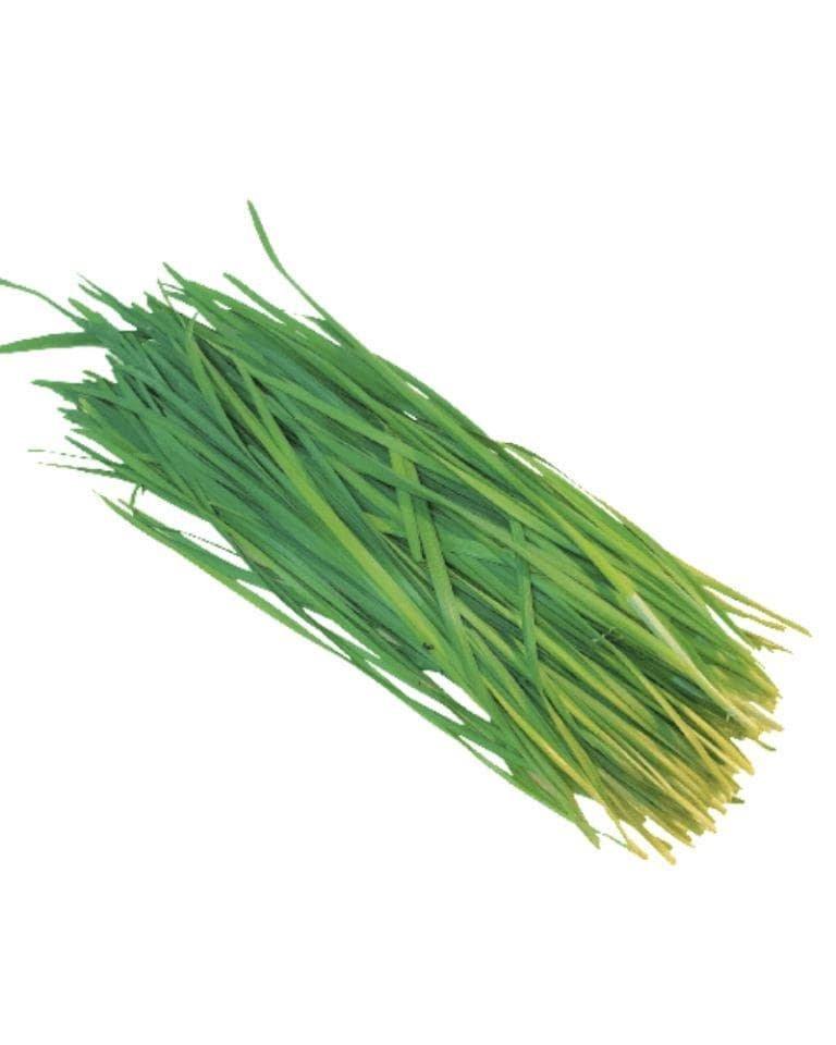 Chives Herbs