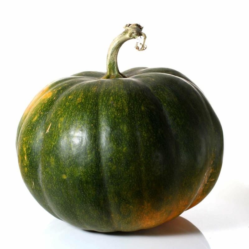 Pumpkin
