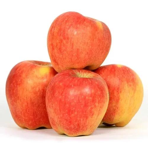 Kashmir Apple