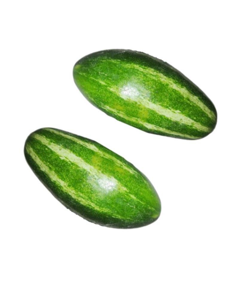 Parwal / Patal