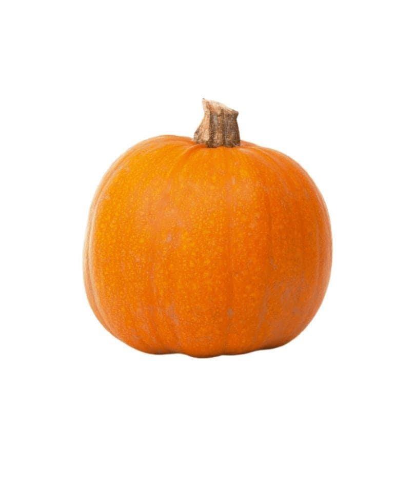 Red Pumpkin