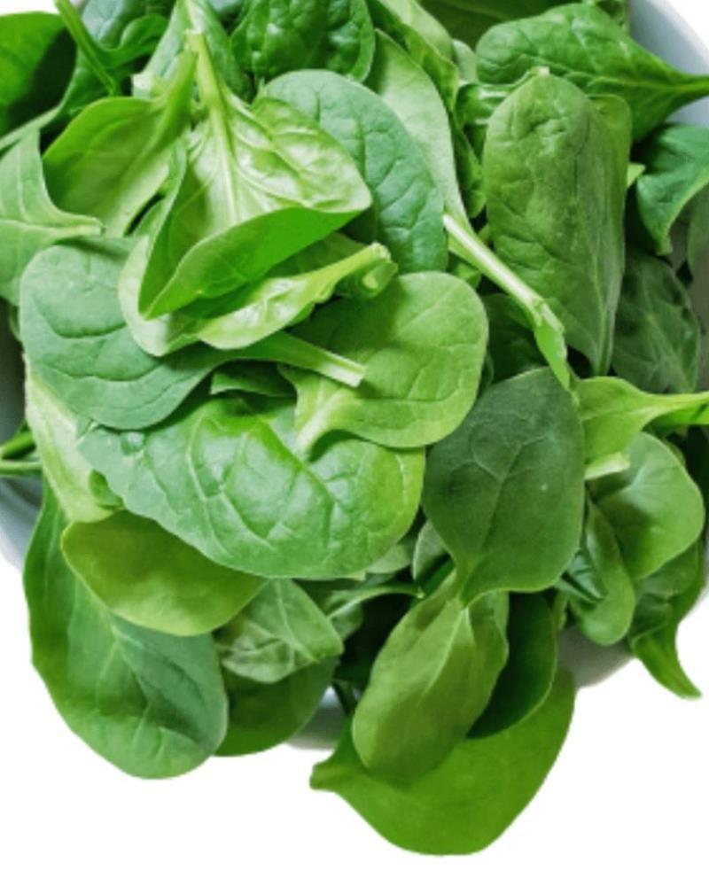 Spinach / Palak