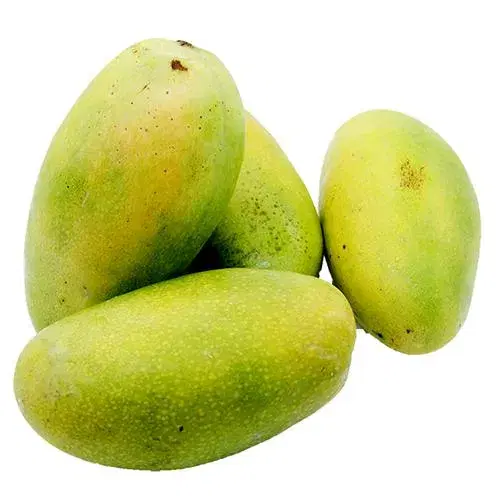 Mango - Dasheri