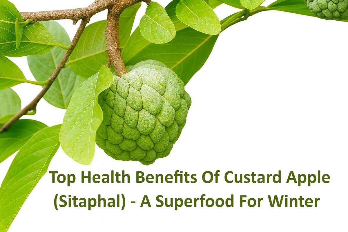 Top Health Benefits of Custard Apple (Sitaphal) – A Superfood for Winter